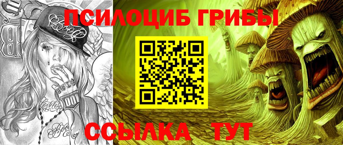 Нефтекумск  Псилоцибиновые грибы Cubensis  где найти наркотики  Вход с VPN 